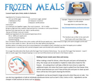 Frozen with Love video class handout