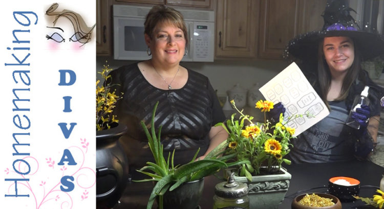 Bewitching in the Kitchen WInter Skin Care